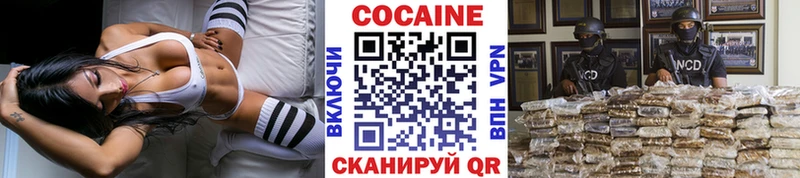 дарнет шоп  гидра как войти  Кокаин Эквадор  Бежецк 