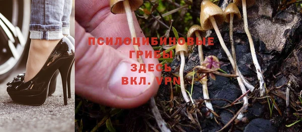ALPHA-PVP Козельск